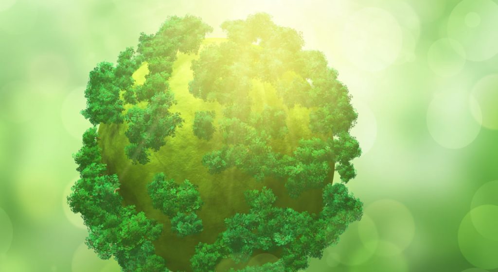 Construyendo el Futuro: Preservando el Entorno con Materiales Ecológicos y Tecnologías Sostenibles
